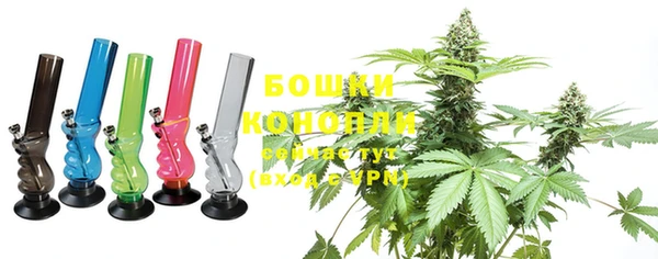 индика Каменка