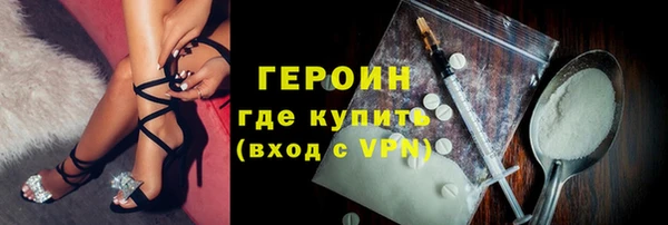 индика Каменка