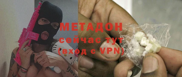 индика Каменка