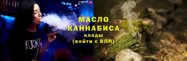 индика Каменка