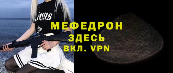 индика Каменка