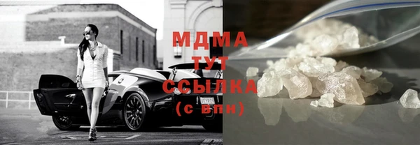 индика Каменка
