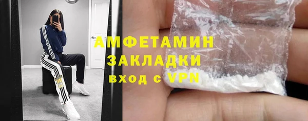 индика Каменка