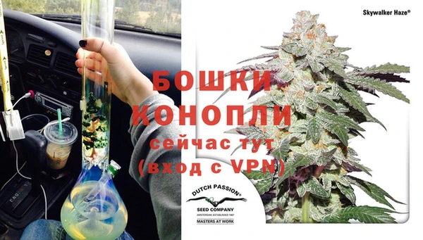 трава Каменногорск