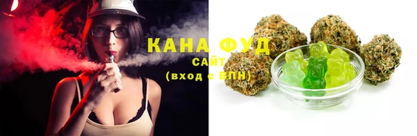 индика Каменка