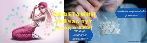 индика Каменка