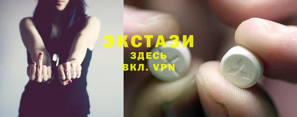 индика Каменка