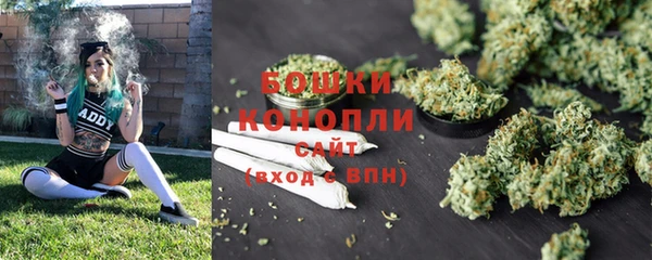 трава Каменногорск