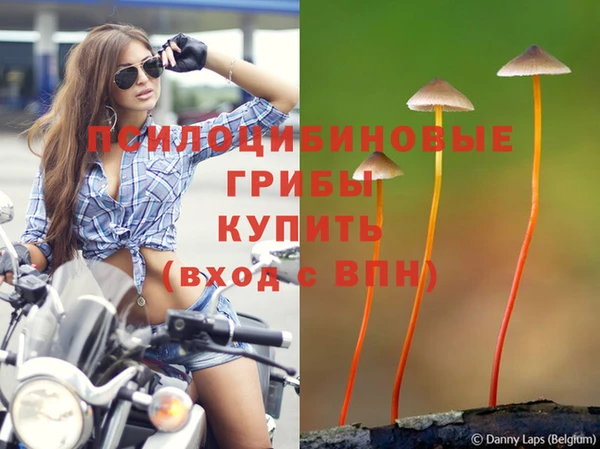 марки lsd Каменск-Шахтинский