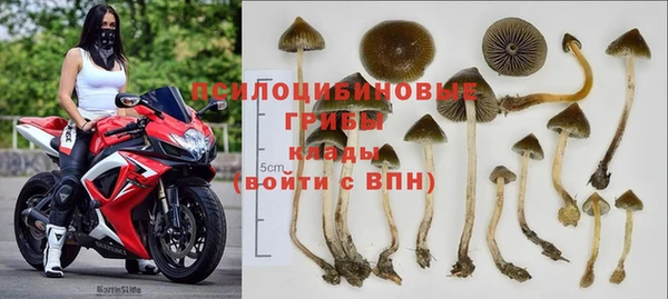 трава Каменногорск