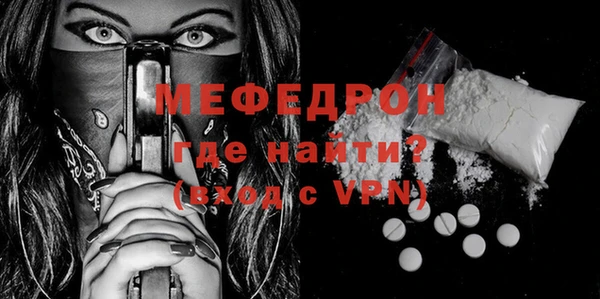 индика Каменка