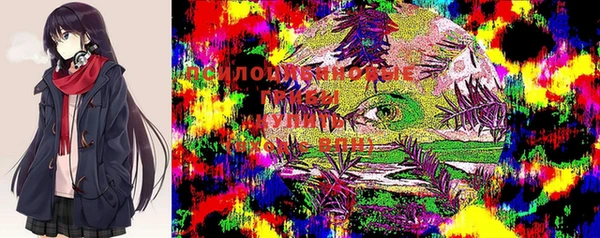 индика Каменка