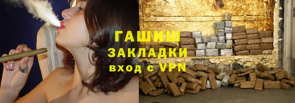 индика Каменка