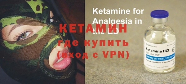 индика Каменка