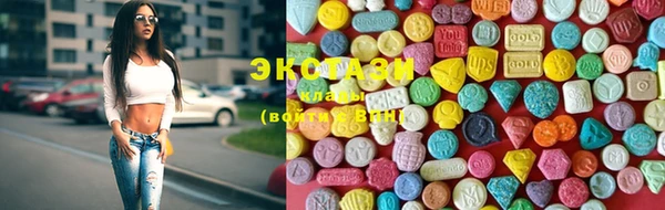 индика Каменка