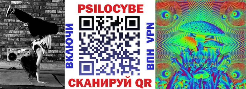 Купить  Реутов  Псилоцибиновые грибы мицелий 